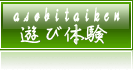 Vё̌